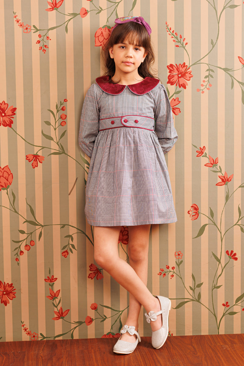 Plum picnic Dress
