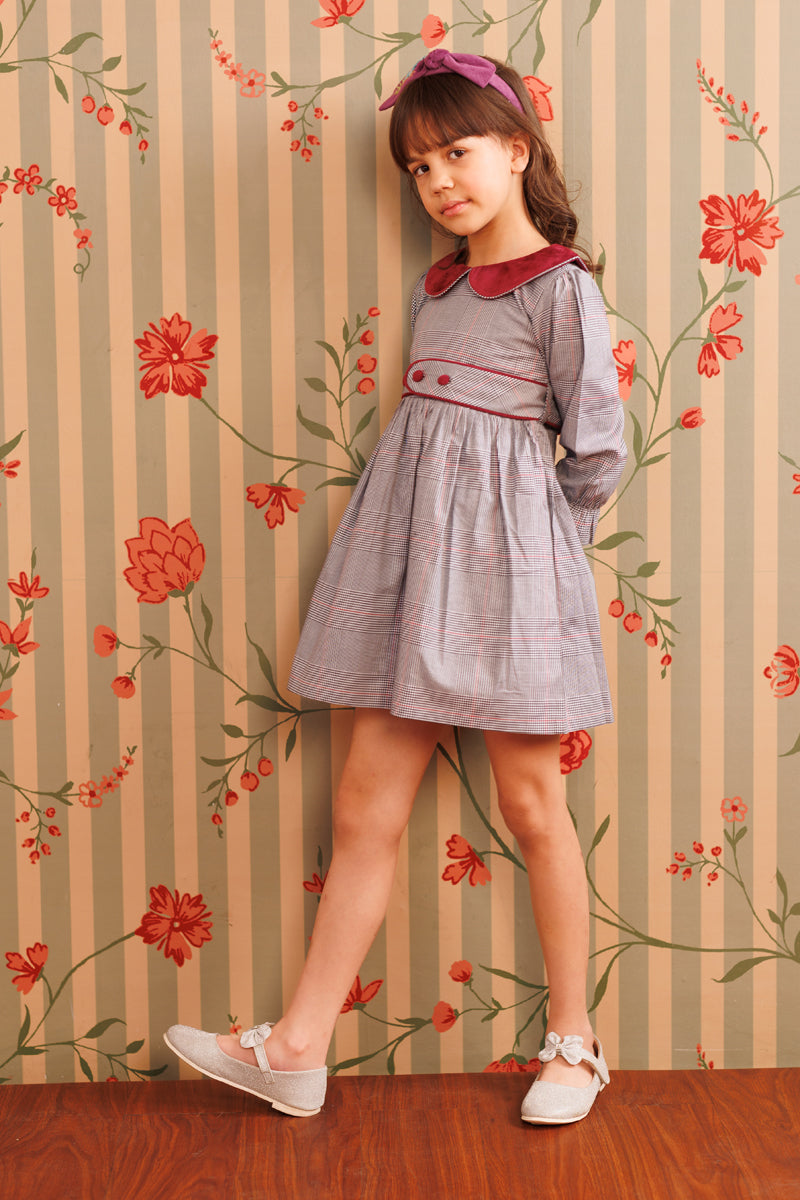 Plum picnic Dress