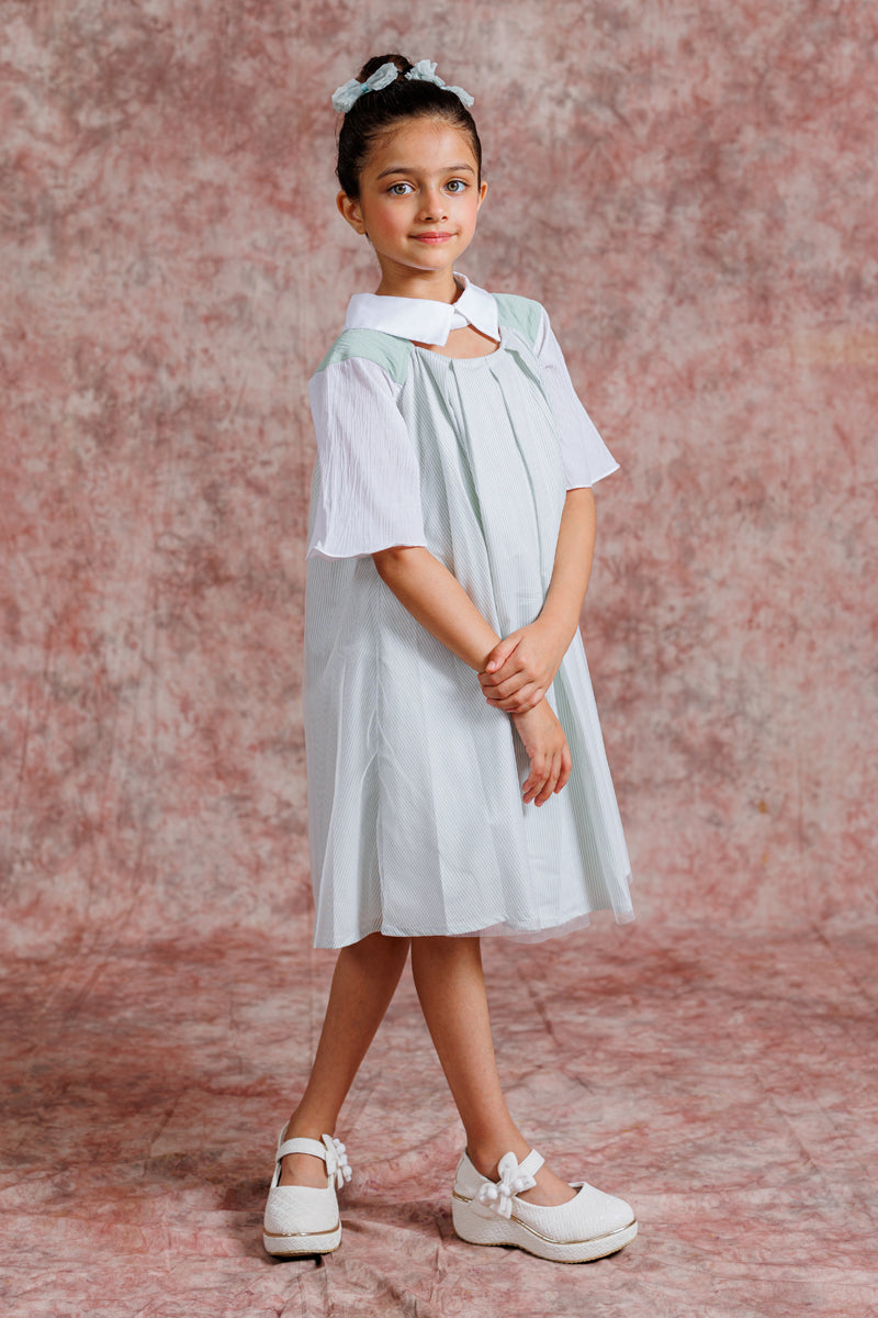 Tulle Collar Chic Dress