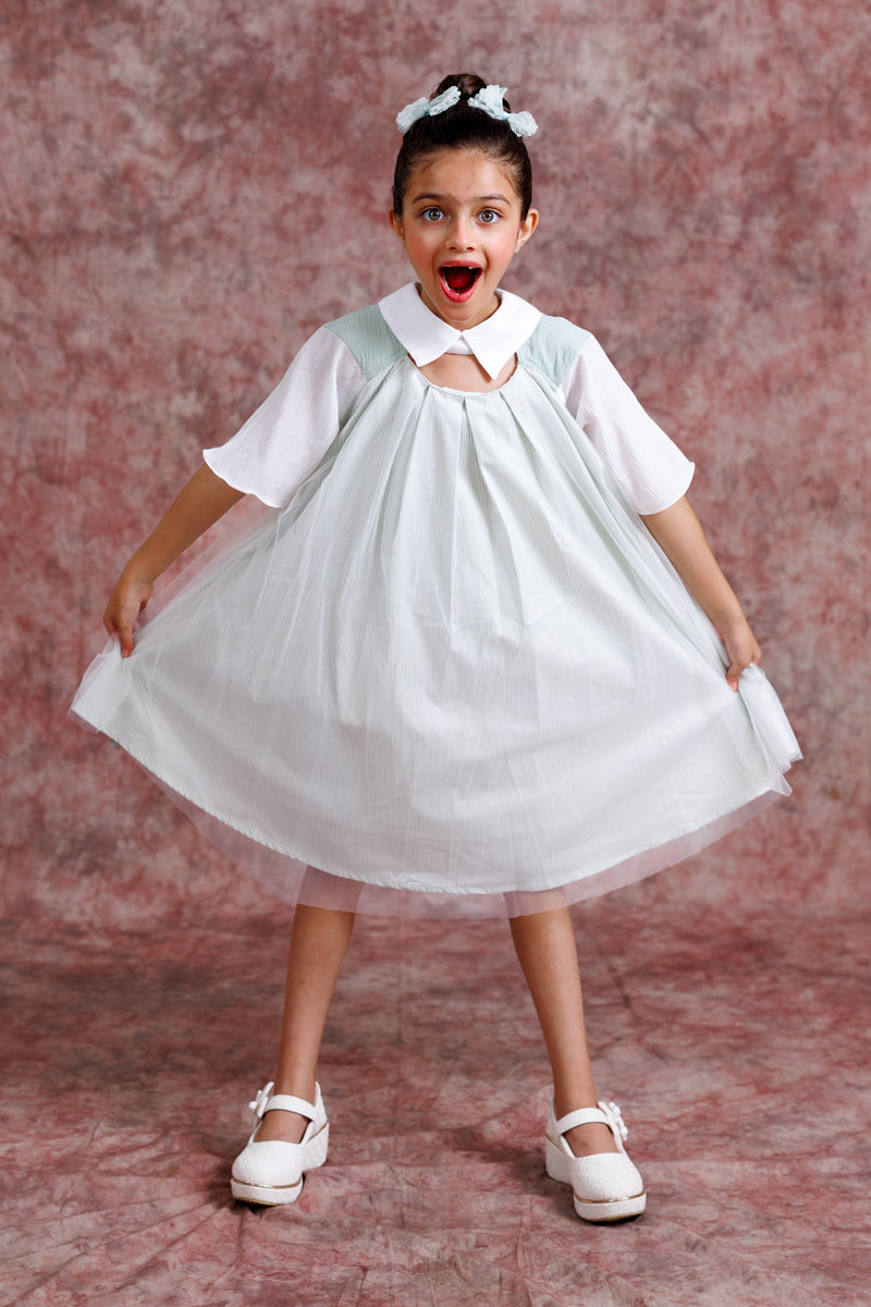 Tulle Collar Chic Dress