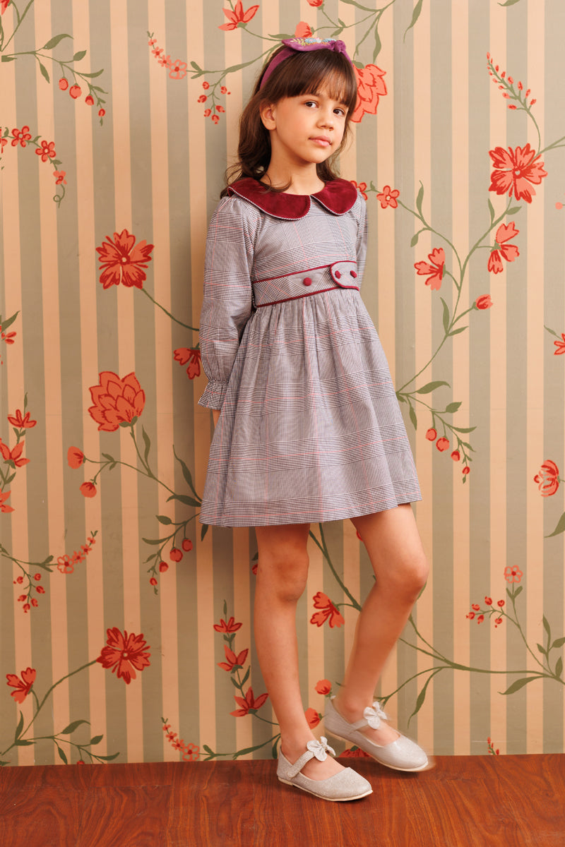 Plum picnic Dress