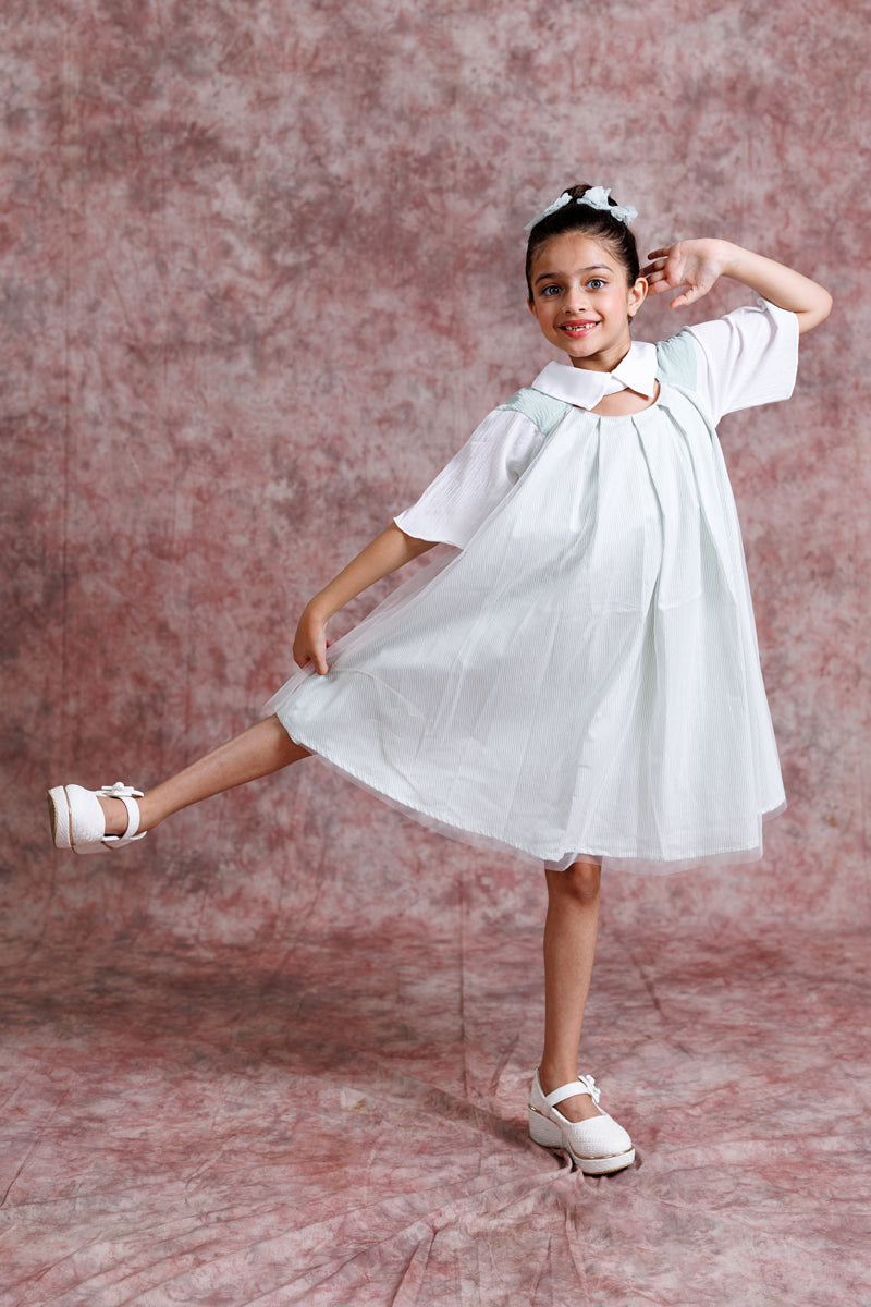 Tulle Collar Chic Dress