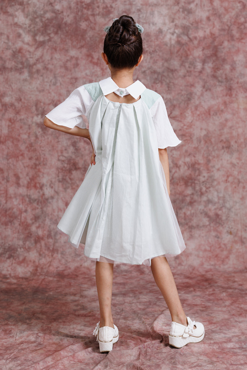 Tulle Collar Chic Dress