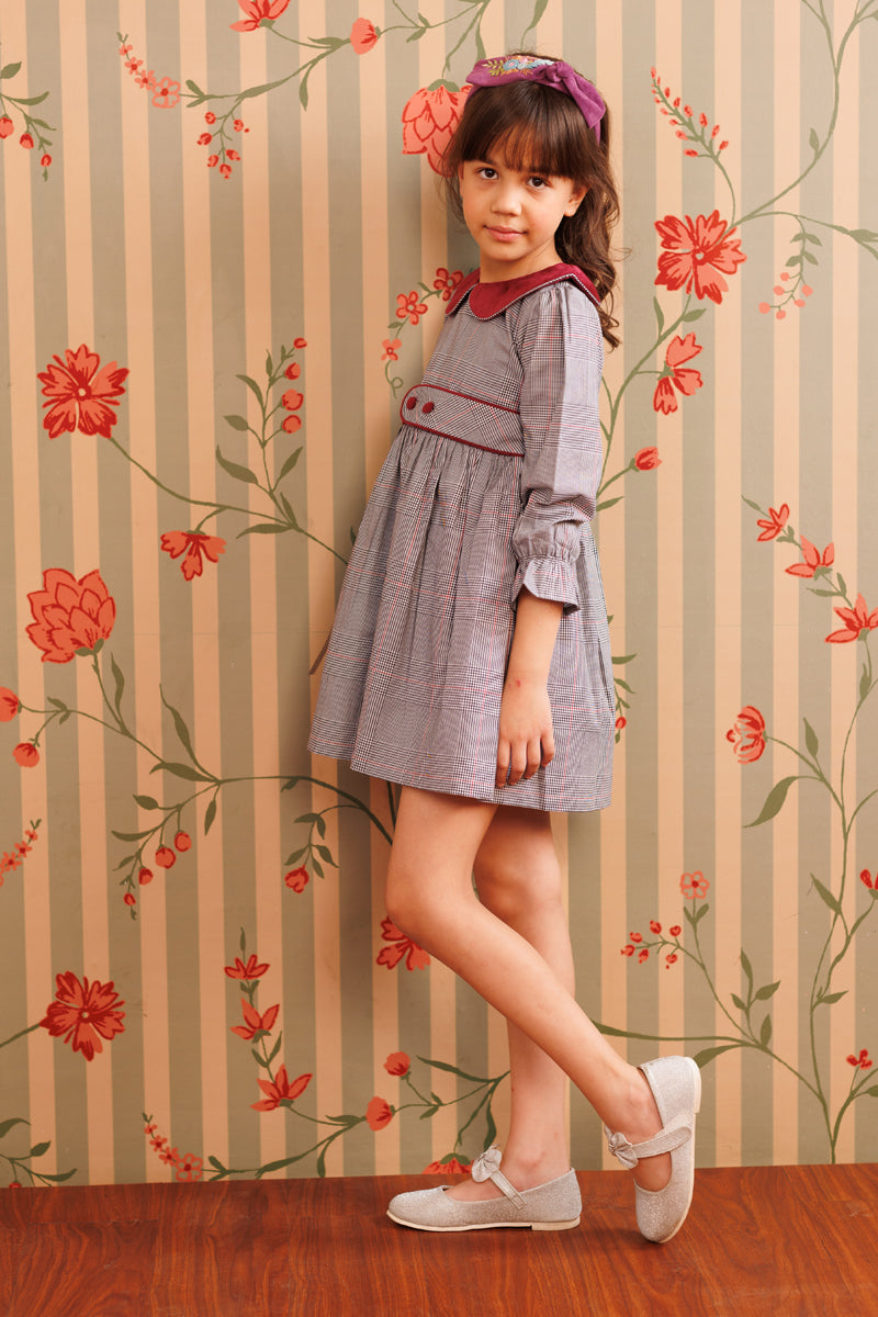 Plum picnic Dress