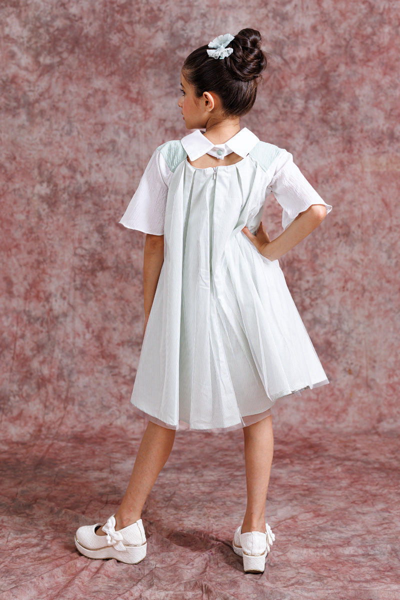 Tulle Collar Chic Dress