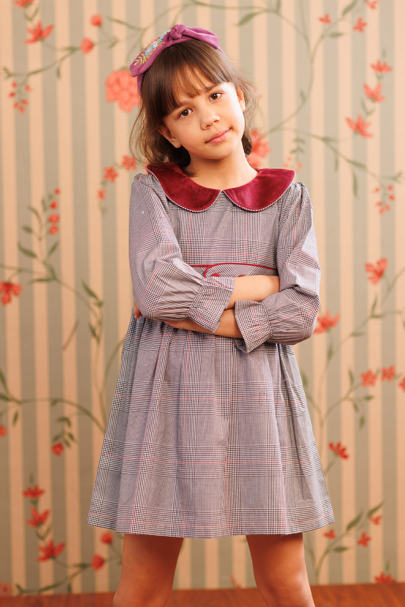 Plum picnic Dress