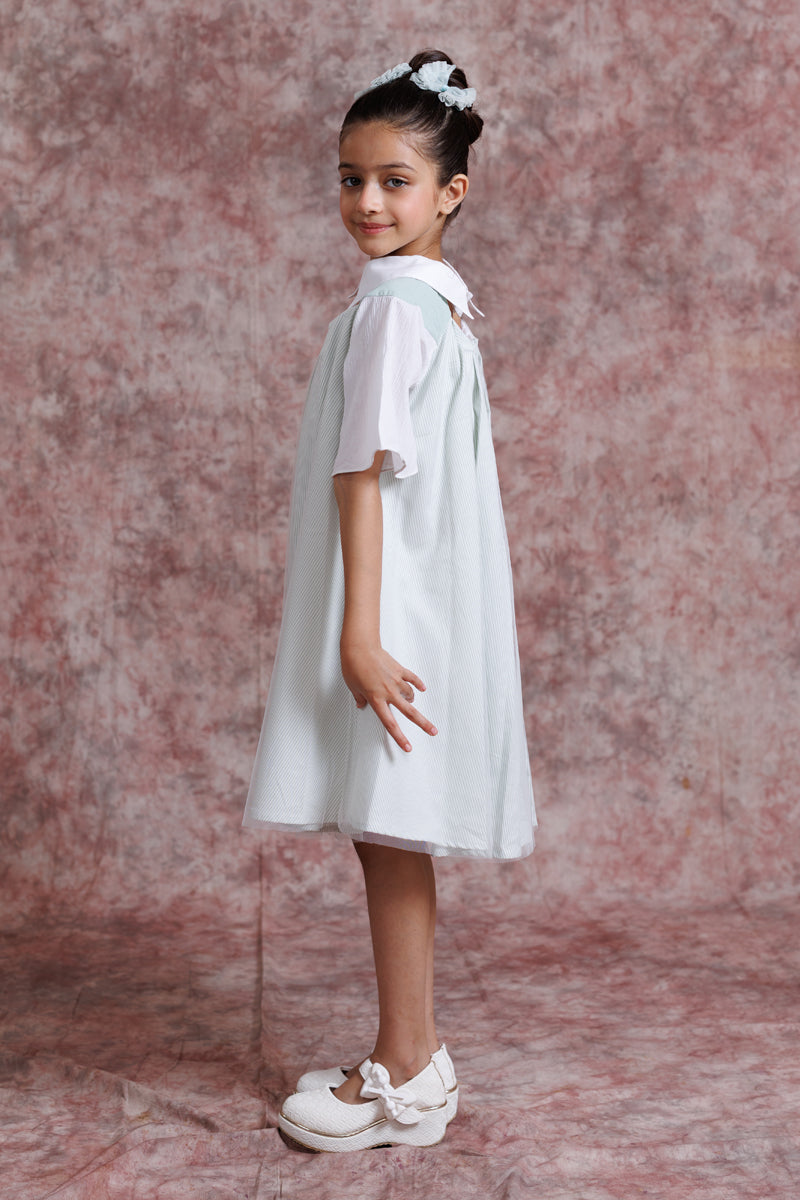 Tulle Collar Chic Dress