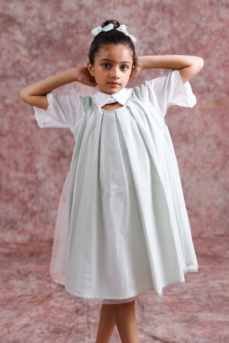 Tulle Collar Chic Dress