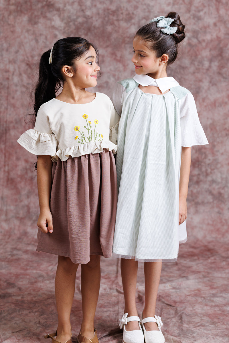 Tulle Collar Chic Dress
