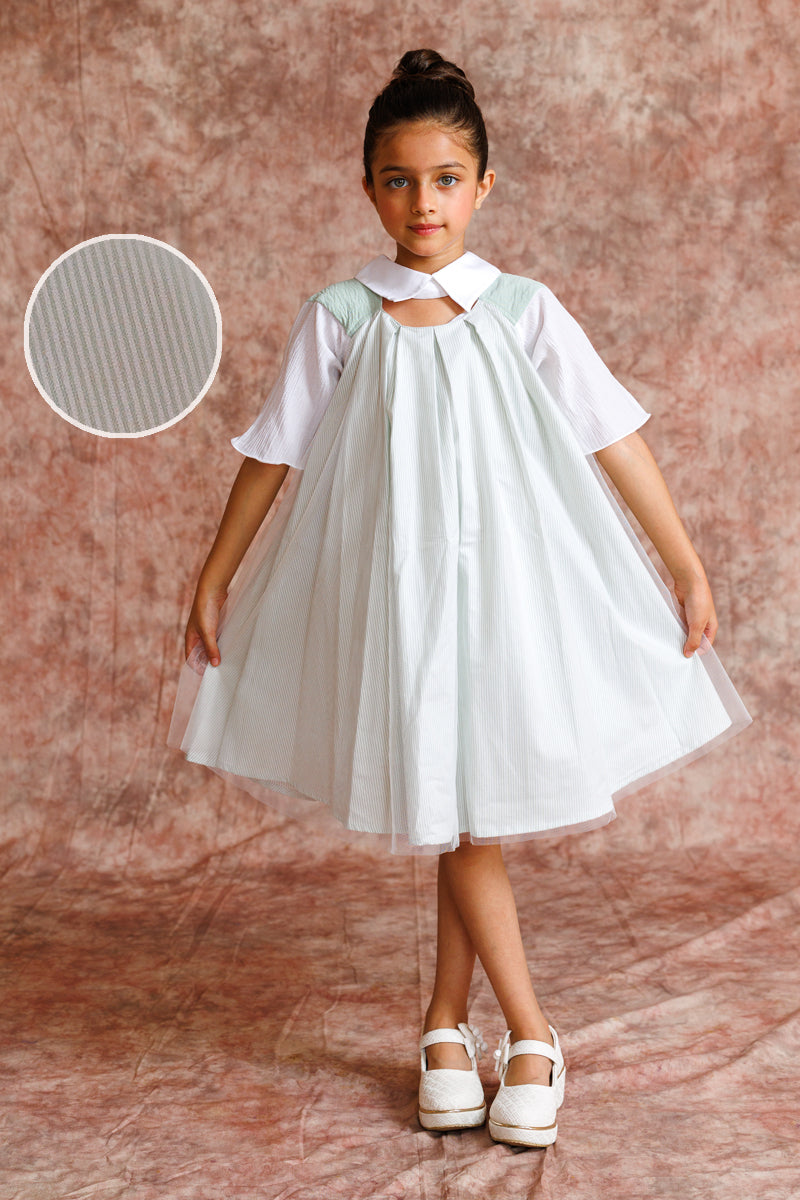 Tulle Collar Chic Dress