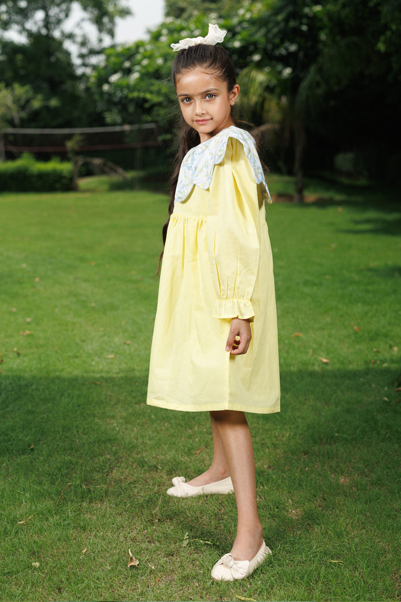 Bright Botanica Dress