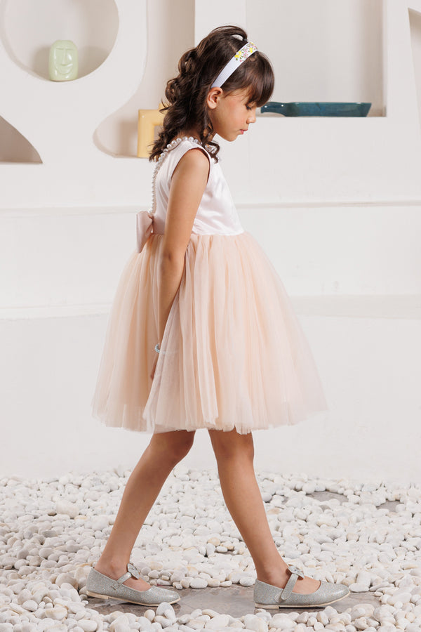 Glimmering Rose Dress