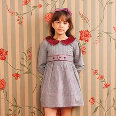 Plum picnic Dress