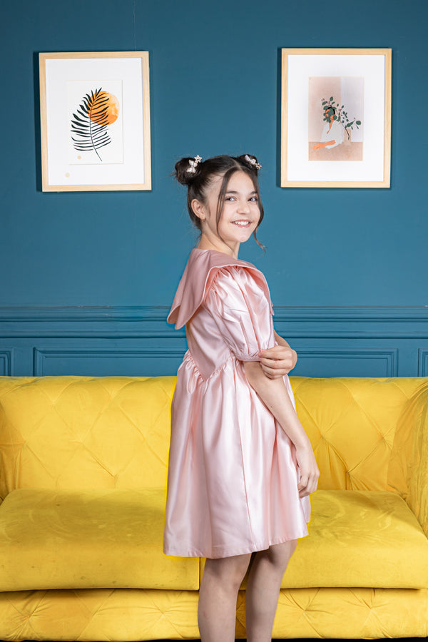 Blush Belle Collared Dress