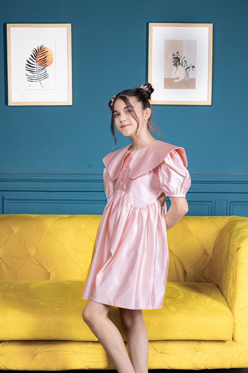Blush Belle Collared Dress
