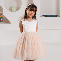 Glimmering Rose Dress