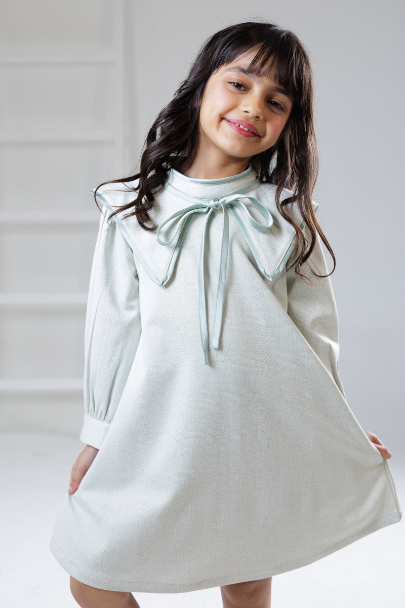 Snowfall Chicken winter dress