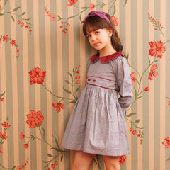 Plum picnic Dress