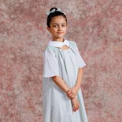 Tulle Collar Chic Dress