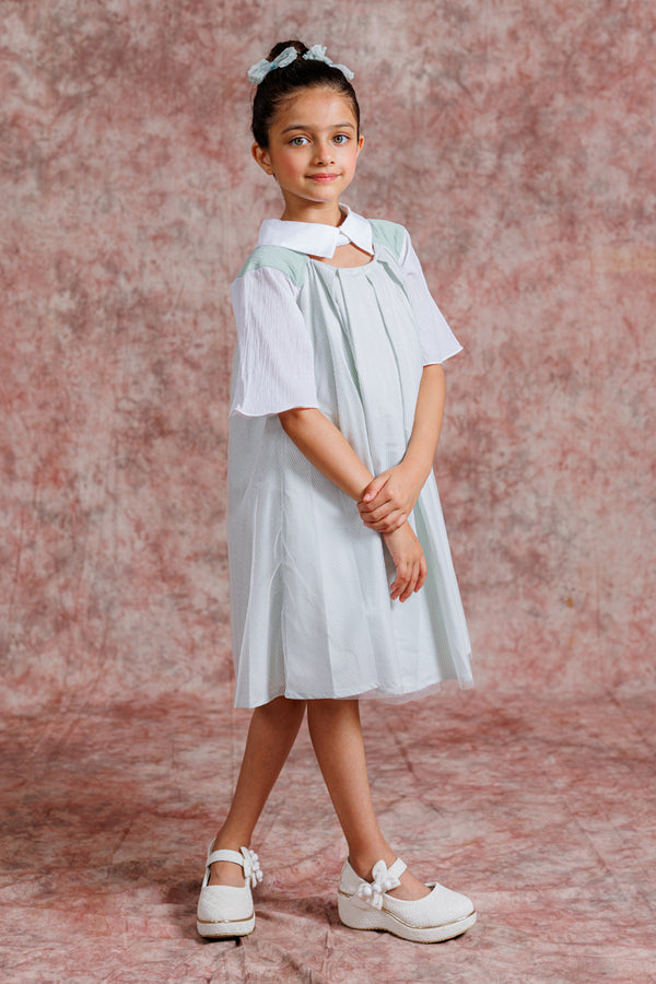 Tulle Collar Chic Dress