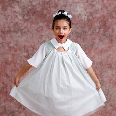 Tulle Collar Chic Dress