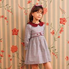 Plum picnic Dress