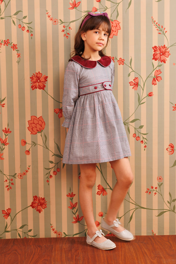 Plum picnic Dress