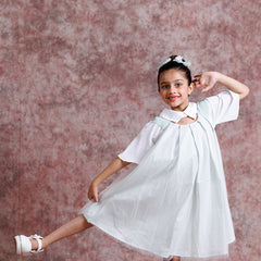 Tulle Collar Chic Dress