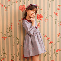 Plum picnic Dress
