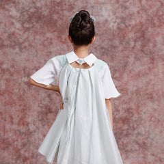 Tulle Collar Chic Dress