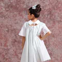 Tulle Collar Chic Dress