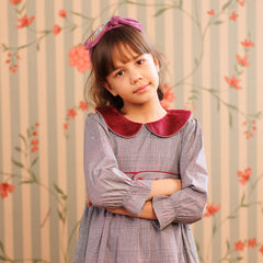 Plum picnic Dress