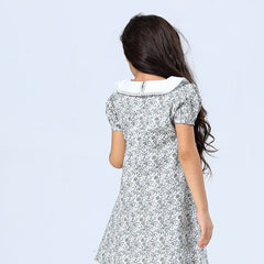 PEWTER POISE DRESS