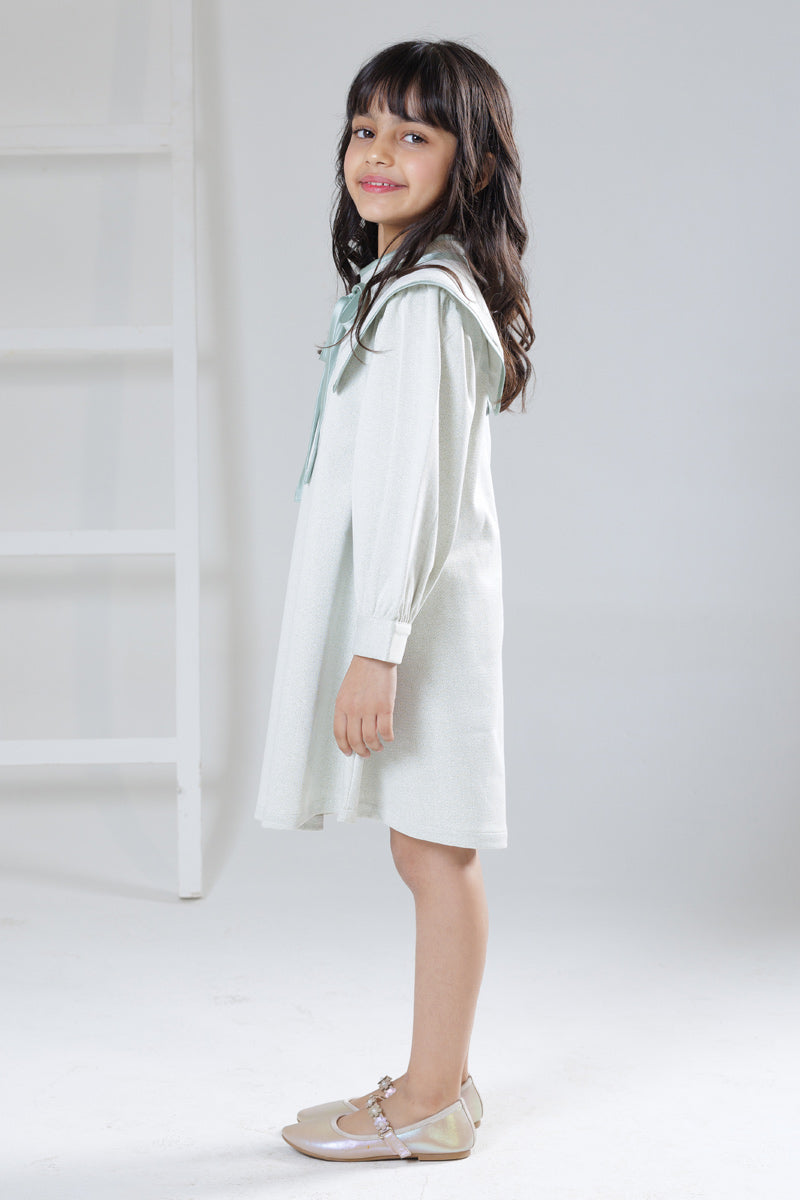 Snowfall Chicken winter dress