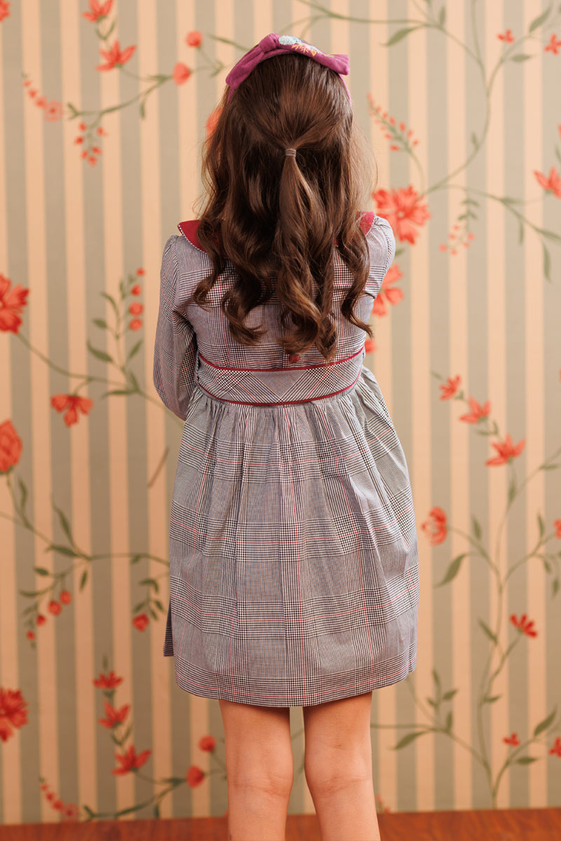 Plum picnic Dress
