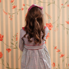 Plum picnic Dress