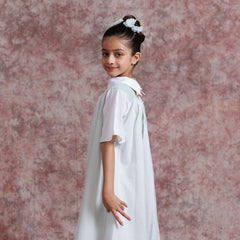 Tulle Collar Chic Dress