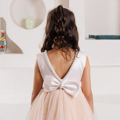 Glimmering Rose Dress