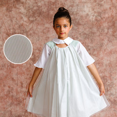 Tulle Collar Chic Dress